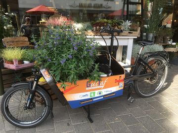 Transportrad Gustaf vor einem Blumenladen beladen mit einer schönen Pflanze