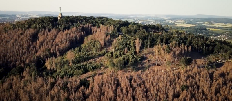 Die teils jetzt schon sterbenden Wälder rund um das Hermannsdenkmal in Herbstlaubfarben